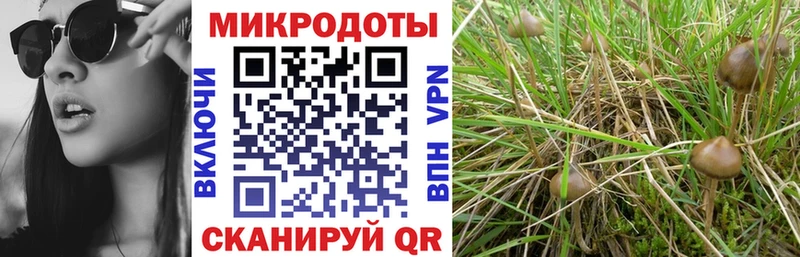 Галлюциногенные грибы прущие грибы Верещагино